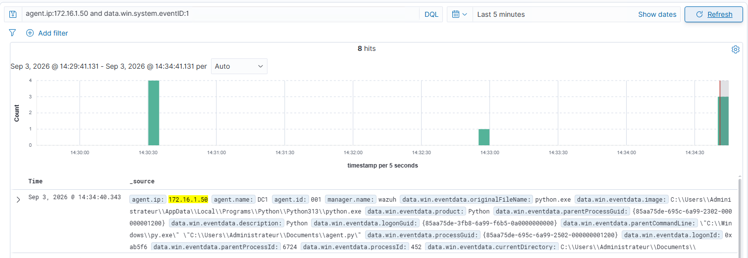 Creation of the Python process corresponding to the agent