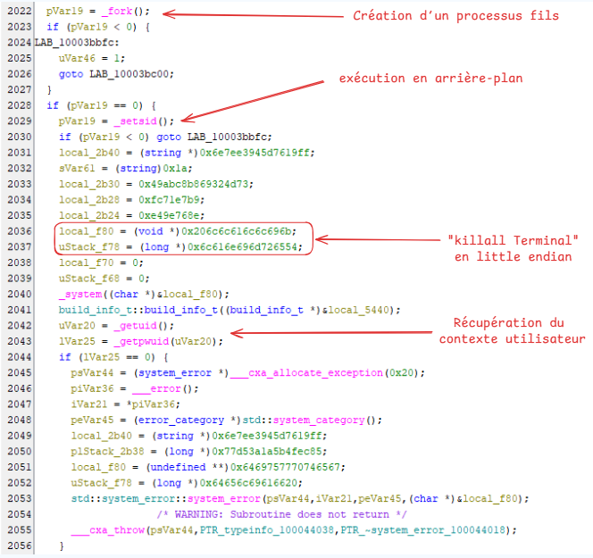 Vue Ghidra de entry : fork, setsid et exécution en arrière-plan